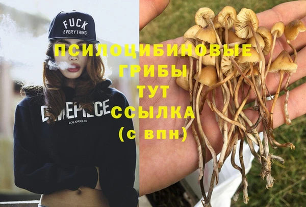 амф Мегион