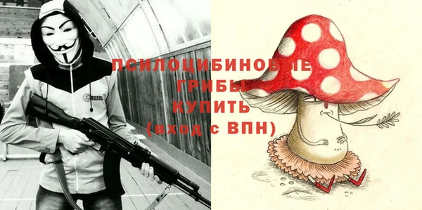 амф Мегион