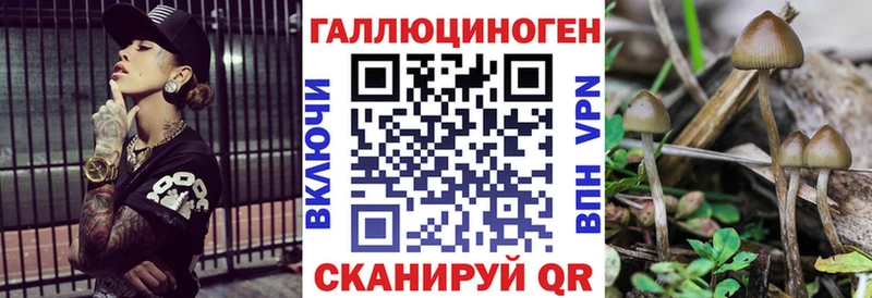 цена hydra tor Галлюциногенные грибы Magic Shrooms Духовщина